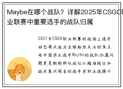 Maybe在哪个战队？详解2025年CSGO职业联赛中重要选手的战队归属